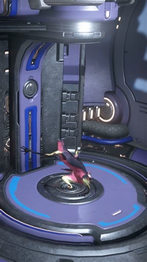 Funny warframe glitch. My kavat broke. #warframe #warframecreator