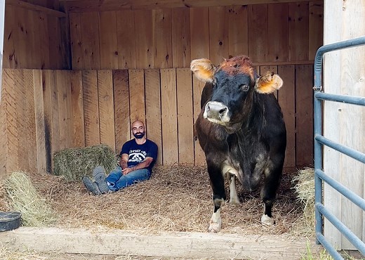 939K views · 10K reactions | Diese blinde Kuh liebt Musik – ihr Lieblingslied ist so süß  | Newsner Deutsch | Facebook