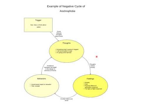 How Arachnophobia Develops And How To Treat It