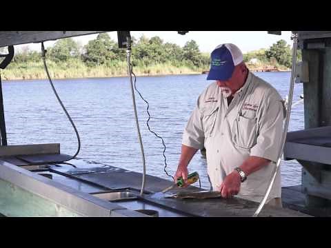 How To Clean A Flounder