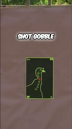 Which Choke Pattern Wins This Turkey Test #hunting #shotgun #turkeyhunting