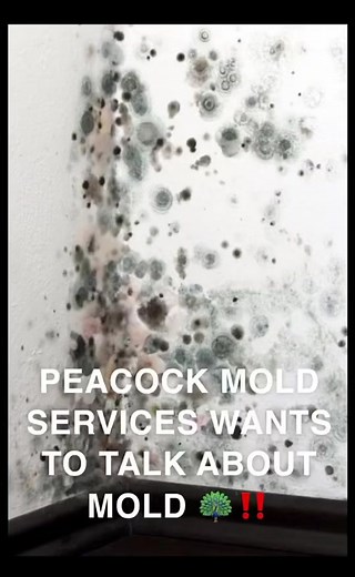 PeacockMoldServicesLLC on TikTok