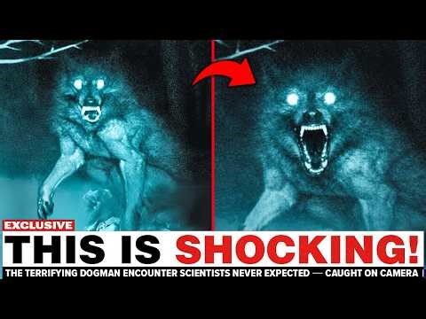 The Terrifying Dogman Encounter Scientists Never Expected — Caught On Camera!