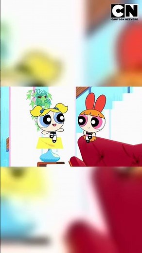 Bubbles and her passion for order | The Powerpuff Girls
