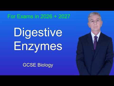 GCSE Biology Revision "Digestive Enzymes"