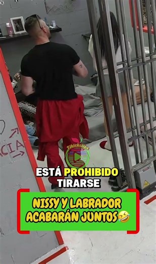 Those who fight are attracted to each other… Nissy and Labrador 🔥