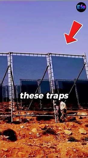 The Nets That Catch Water From the Sky 💧☁️🌍