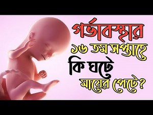গর্ভাবস্থার ১৬ তম সপ্তাহে কি দেখে নিন । 16 Weeks Pregnant । Pregnancy Week by Week Bangla
