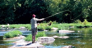 COLUMN: Preserving the Rappahannock River: Our Fight Against Non-Point Source Pollution