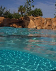 6K views · 73 reactions | Don't mind us, just spending all day in the wave pool   | Aquatica Orlando | Facebook