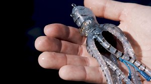 Mustad Inkvader Octopus Jig, görüntüsü ve hareketleri tıpkı canlı bir ahtapot gibi tasarlanmıştır. Mustad sahte ahtapot yemi kafa boşluğuna eklenebilen tablet sayesinde canlı bir ahtapot gibi mürekkep püskürtmektedir. Ürünü https://bit.ly/Mustad-Inkvader-Octopus bağlantı üzerinden detaylı bir şekilde inceleyebilirsiniz. #mustad #sahte #ahtapot #kısıkbalık #balıkavı | KISIK BALIK