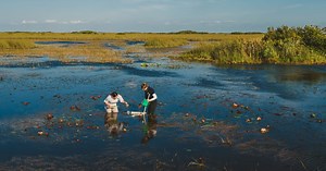 Restoring the Everglades to ensure South Florida’s freshwater supply