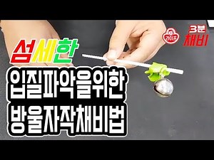 로드라이프 3분채비 정확한 입질 파악을 위한 방울채비법