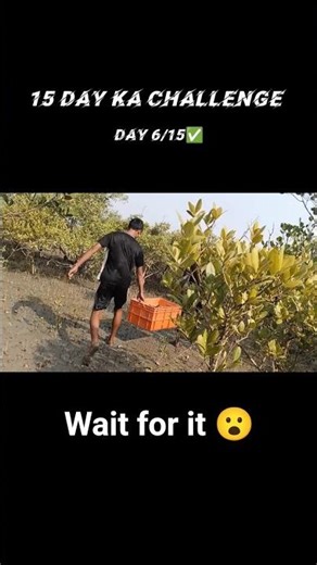 Jungle Ke Andar Day 6