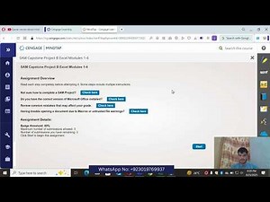 Sam Capstone Project B Excel Modules 1-4
