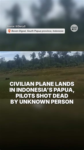 Indonesian police said it was unclear who carried out the attack on the Smart Air plane, which was carrying 13 passengers, including the two pilots. #news #Indonesia #Aviation #Planes #Shooting