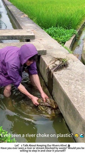 Pulling Blockage from a River – A Small Act, A Big Difference 🌊🧹