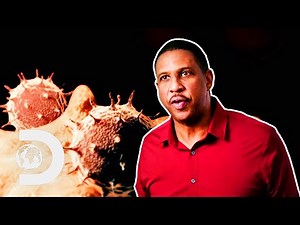 Microcosmos: Viruses As Potential Extraterrestrial Lifeforms | How The Universe Works