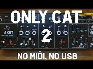 Behringer CAT 2