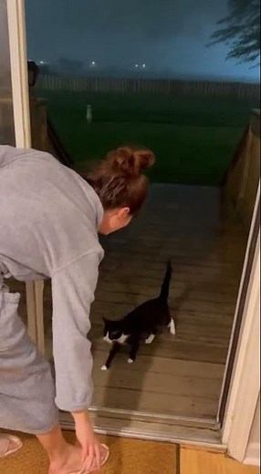 This Animal Was in Trouble… What Happened Next Is Amazing 🥺