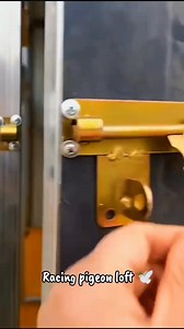 Racing Pigeon loft #pigeonloft #racerkabootarloft #racingpigeonsloft #pigeonracingloft #loft #topflightloft #topflightpigeonloft | Topflight Racing Pigeon Loft