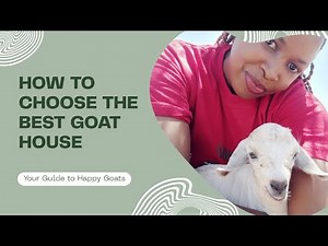Goat Housing Structures Overview | HOW TO CHOOSE THE BEST GOAT HOUSE