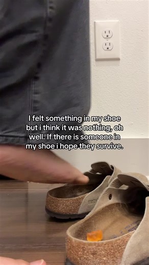 Tiny Survival Challenge in a Shoe?