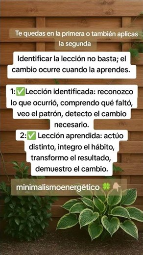 Lección identificada VS lección aprendida. #minimalismoenergético #leccionesdevida #frases #cambio