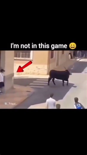 go get them not me #meme #284 #jokes