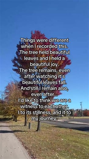 Things were different when I recorded this. The tree held beautiful leaves and I held a beautiful joy. The tree remains, even after watching it’s beautiful leaves fall. And still I remain also, even after… I’d like to think we are a witness to eachother. I to its stillness, and it to my journey. - Layla Marie #healing #trees