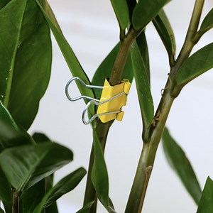 684K views · 1.5K reactions | Quick and Easy Garden Hacks for Stunning Results | 5-Minute Recycle | Facebook