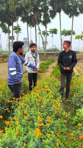 ভাই খালা আপনার নাম্বার চেয়েছে#shorts #reelsvideo #funny #subscribemychannel