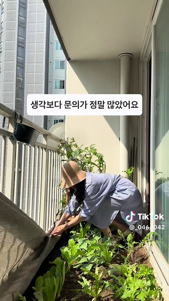 베란다 텃밭을 위한 아름답고 실용적인 가림막