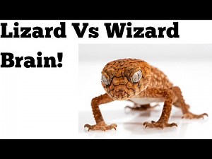 The struggle between the lizard and the wizard brain. The morning mind Introduction.