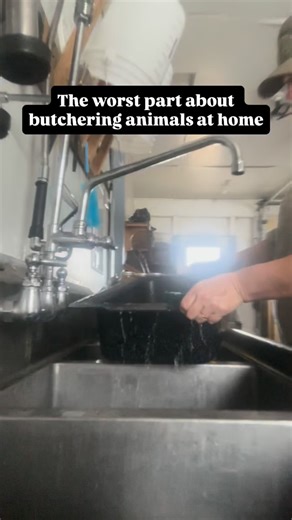 Do you agree!? 😵‍💫 | LEM Products