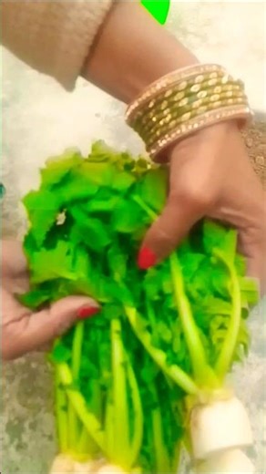 grow radish vegetable at home#radish#vegetables #viralvideo #planting #home