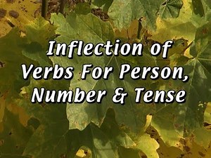 Inflection Of Verbs In English Grammar: Person, Number, and Tense