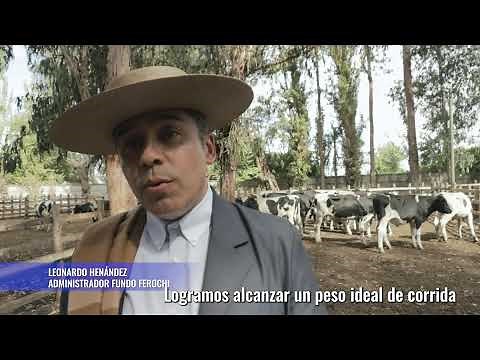 Primera Libre A - 76° Campeonato Nacional de Rodeo