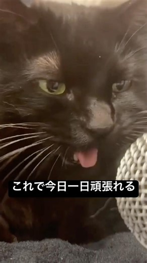 Let's do our best today too