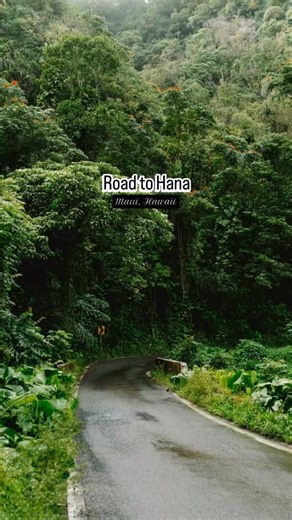 ✨ The Road to Hana is one of those drives that stays with you long after it’s over. Here’s what makes it unforgettable: 🌿 Lush rainforest trails 🌿 Towering waterfalls around every bend 🌿 Quiet jungle pools with turquoise water 🌿 Roadside fruit stands fresh banana bread 🌿 Bamboo forests swaying overhead 🌿 Lava cliffs dramatic ocean views 🌿 Secret beaches and sea caves 🌿 True off-the-grid Hawaiian soul Ready to chase waterfalls and Hana magic? Tell me what you’d stop for first.👇 #RoadToHa