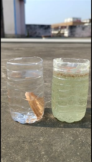 2 Next Level Science Tricks At Home 🧪✨ #shorts