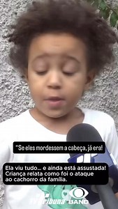 3.1K views · 53 reactions | Cariacica: A pequena Manu viu tudo de perto. Ela estava brincando quando cães de grande porte invadiram o quintal e atacaram o cachorro da família. Assustada, Manu conta como tudo aconteceu. | William Fernandes Novo | Facebook