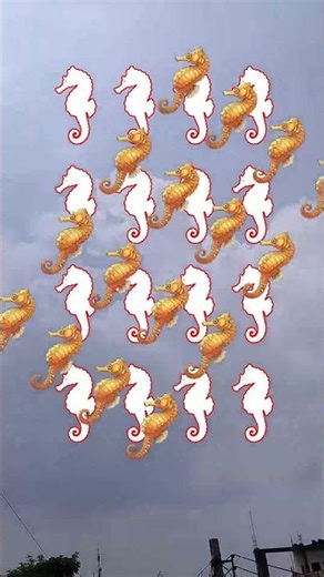 Seahorse #pauseshorts #lifestyle