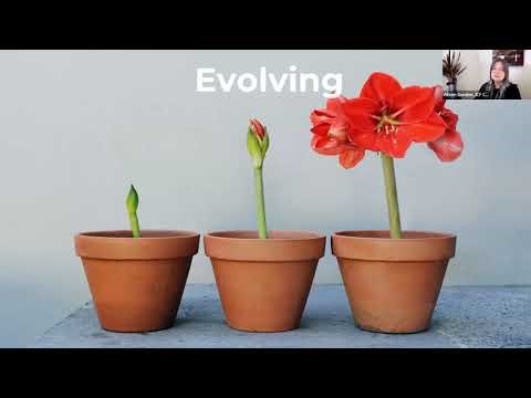 ICF Credentialing Update—What you need to know!