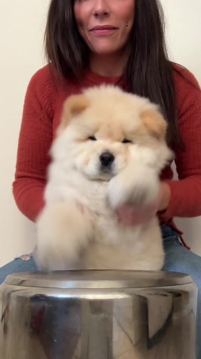 Meet My Best Friend Okke: The Goodest Little Drummer Boi