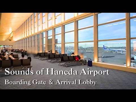【環境音BGM/1時間】ANAでの旅気分を味わう羽田空港の音（搭乗ゲート・到着ロビー）【作業・勉強・睡眠】