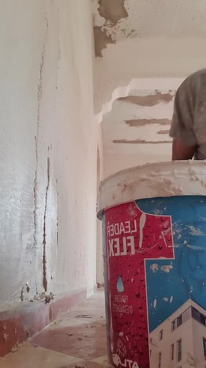 Home Improvement: Applying Premium Quality Plaster