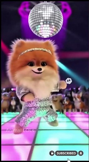 🐶 Pomeranian Disco Dance | Cute & Funny Dog Dancing to the Beat! #dog #pomeranian #shorts
