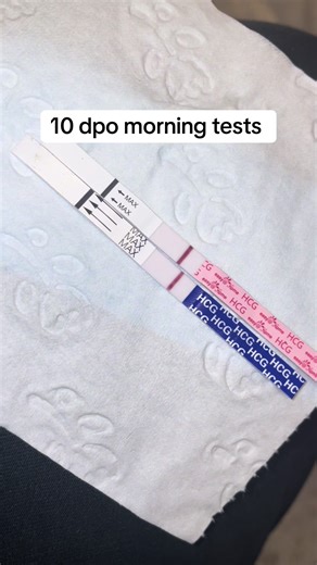 10 DPO Morning Pregnancy Test Results Revealed