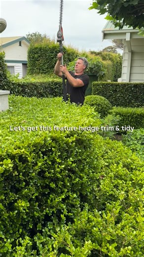 WEEKEND HEDGE TRIMMING - to make this over scaled reproduction urn really stand out I’ve trained the hedge of lily pilly into an arch with stepped sides to create an evergreen backdrop. #andrewstarkgardens #andrewstarkgardendesign #andrewstarkdesign | Andrew Stark. Garden Design